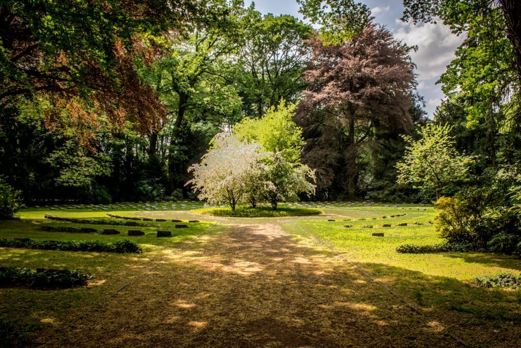 Un jardin