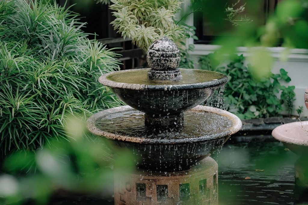Un jardin aquatique